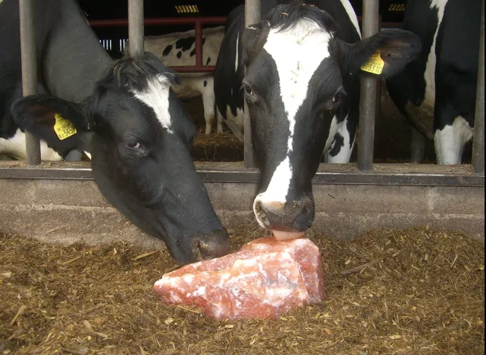 PAK Global Trade animal product